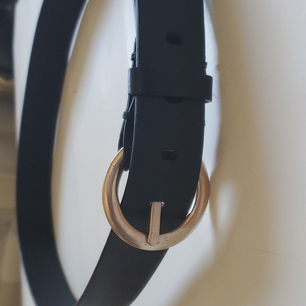 RL 3964001 Belt
